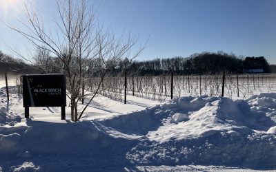 Message in a bottle: The delicate alchemy of Black Birch Vineyard